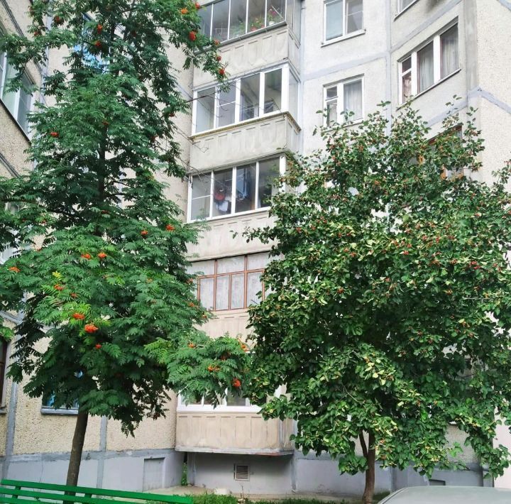 квартира г Елец ул Королева 23 фото 2