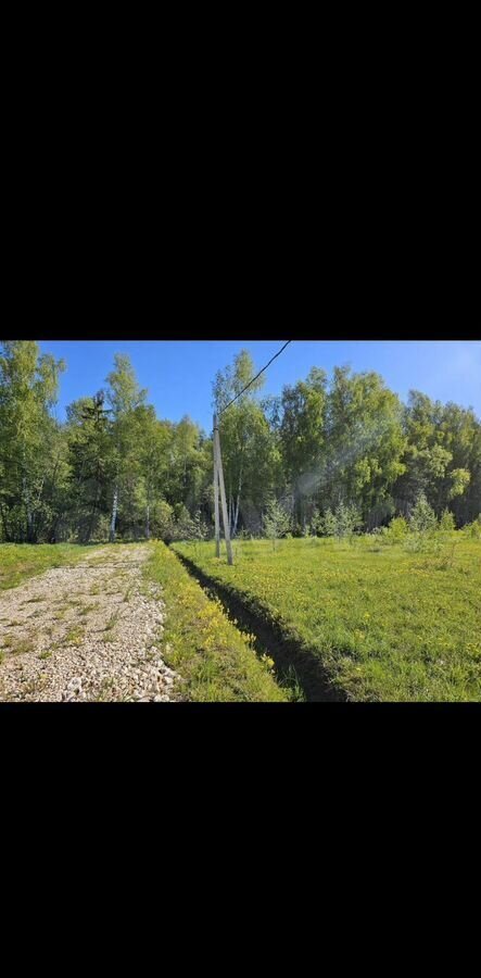 земля городской округ Шаховская д Кобылино тер Новорижская Деревенька-3 107 км, Новорижское шоссе фото 6