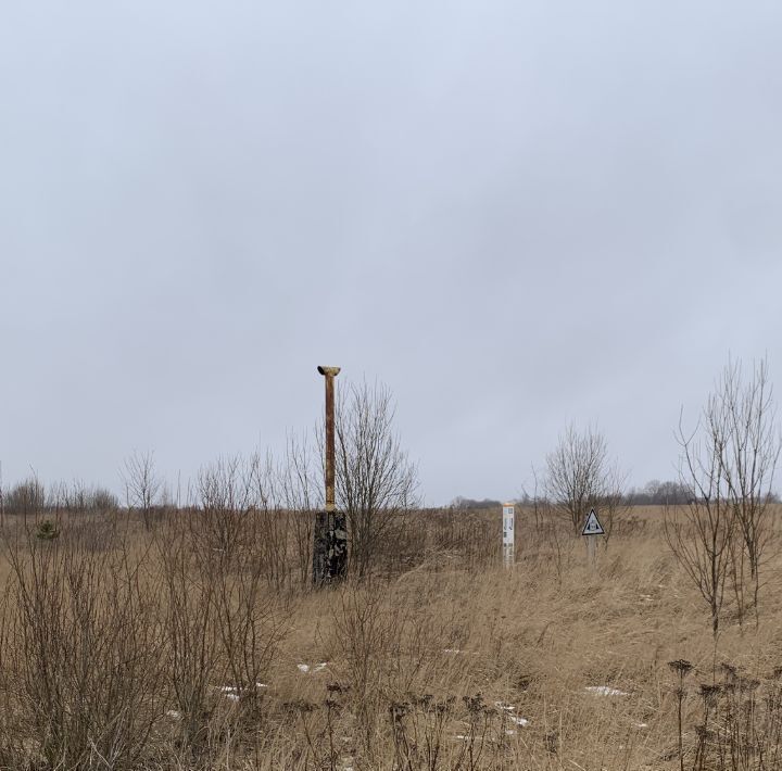 земля г Раменское снт Малышево 86, Коломна городской округ фото 1