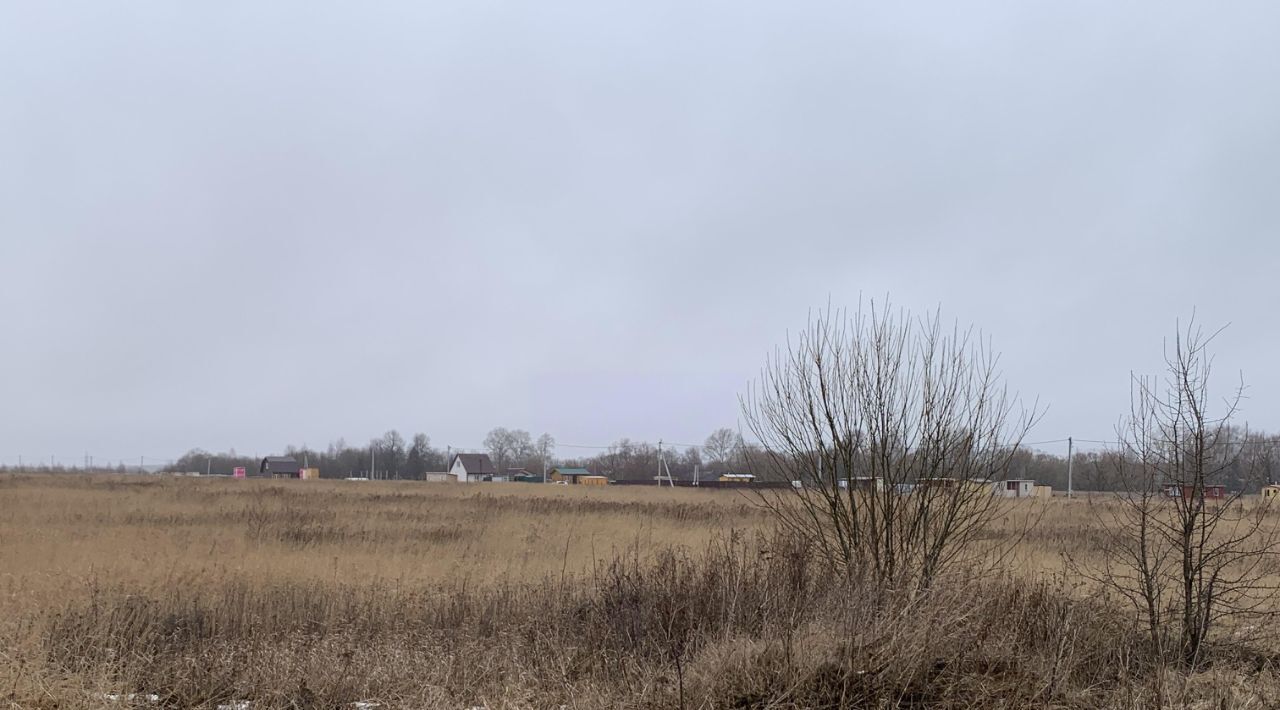 земля г Раменское снт Малышево 86, Коломна городской округ фото 3