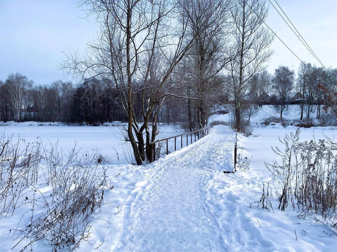дом г Балашиха д Соболиха ул Вересковая фото 19