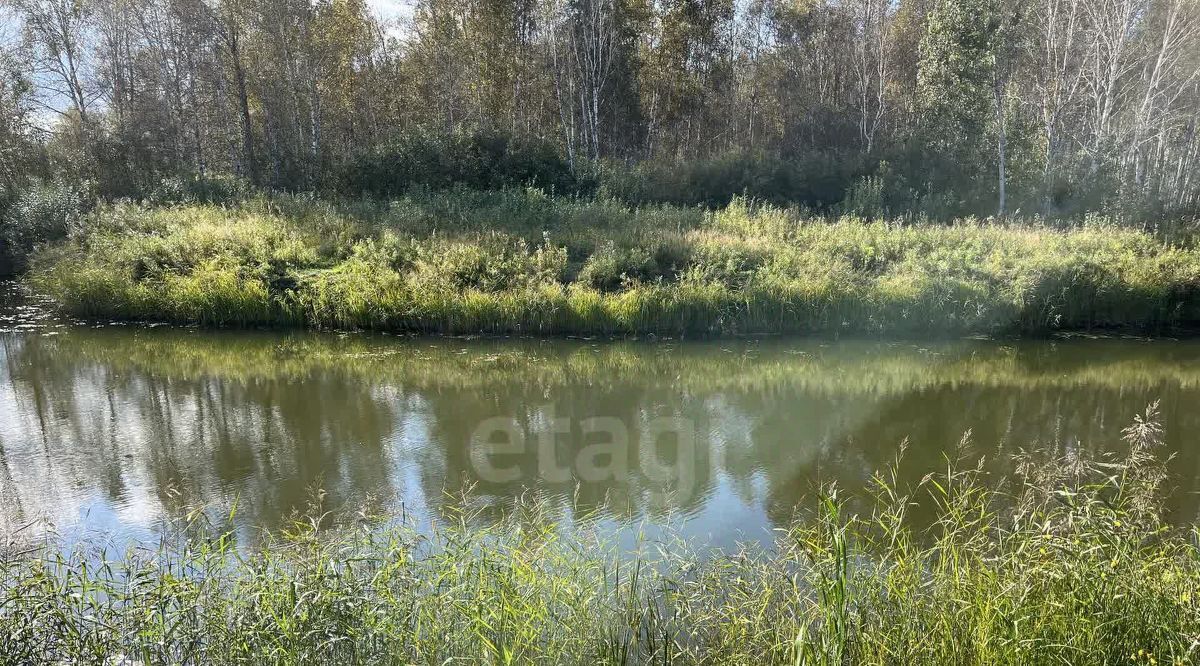 дом г Тюмень снт Облепиховое ул Малиновая фото 24