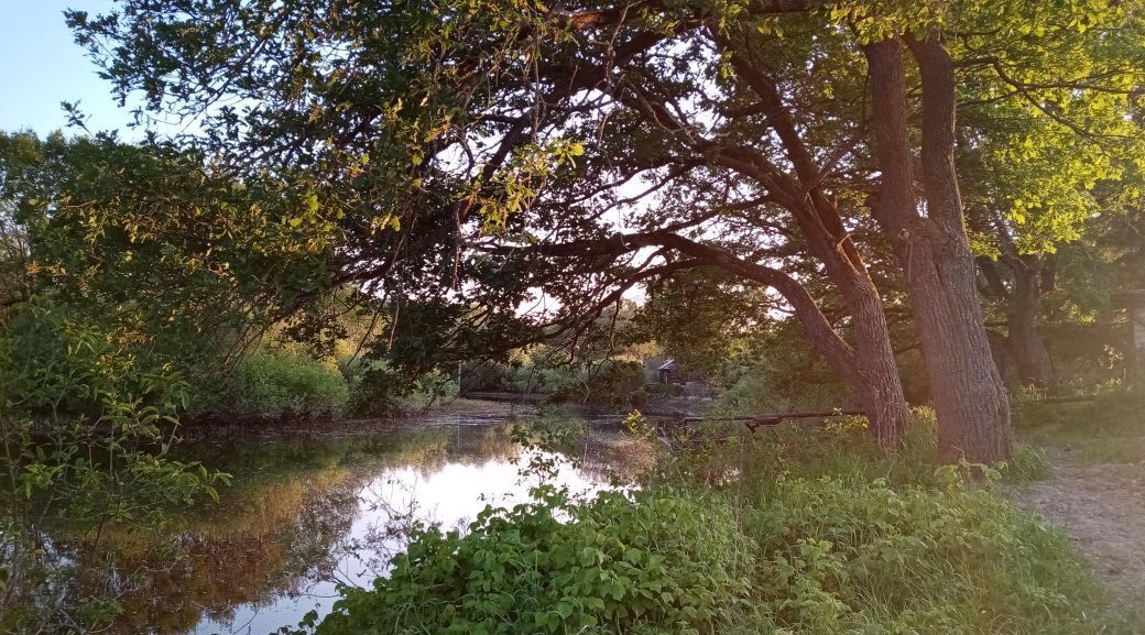 дом р-н Новгородский рп Панковка Панковское городское поселение фото 37