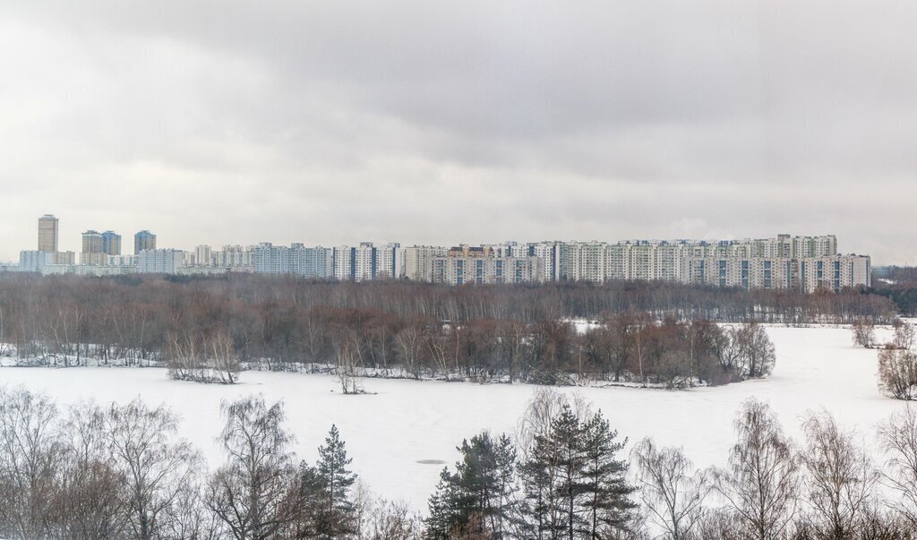 квартира г Москва метро Трикотажная ш Волоколамское 95/2к 5 Московская область фото 17