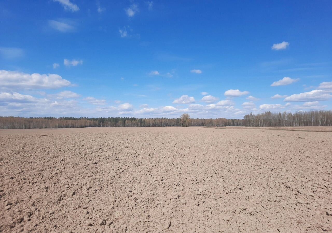 земля р-н Городецкий г Городец д. Терентьево фото 3