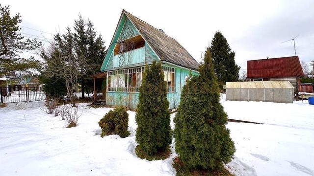 Тосненское городское поселение, Рубеж массив, 153, Поляна СНТ фото