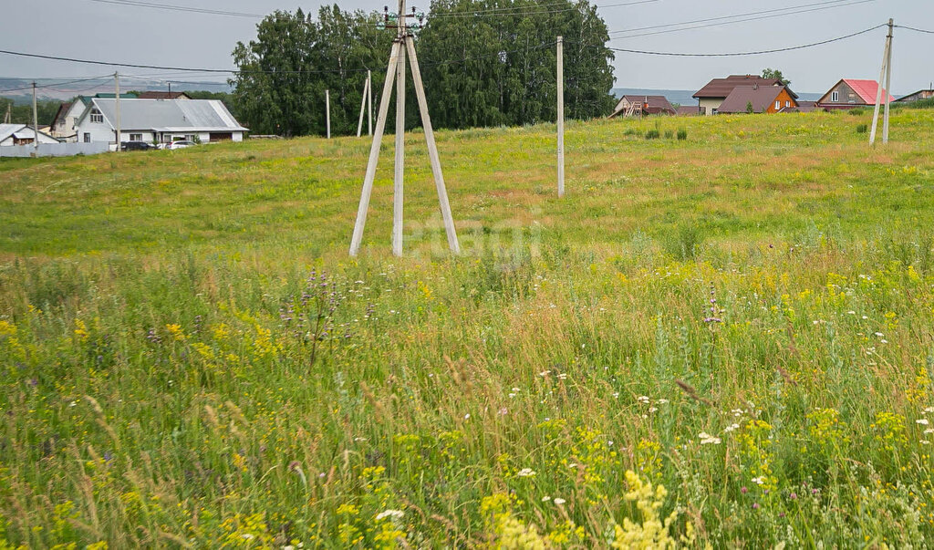 земля р-н Искитимский с Лебедевка сельсовет, Совхозный фото 9