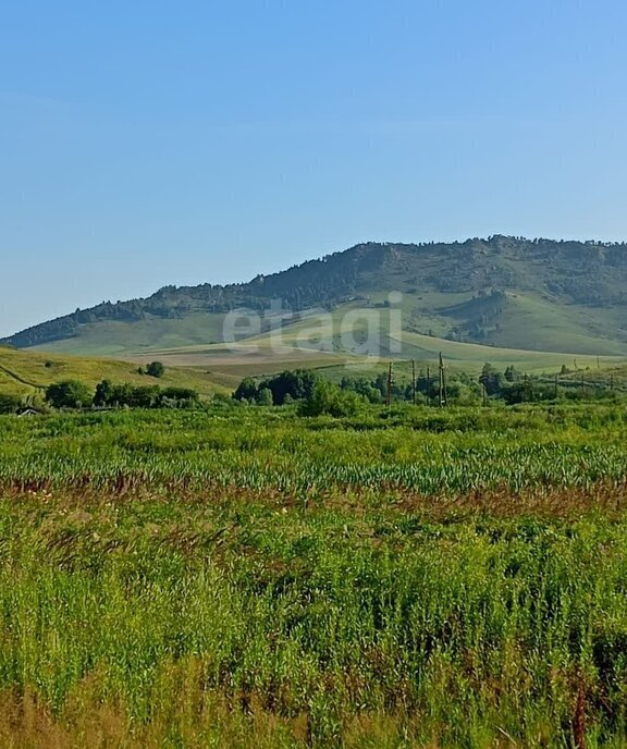 земля г Горно-Алтайск фото 3