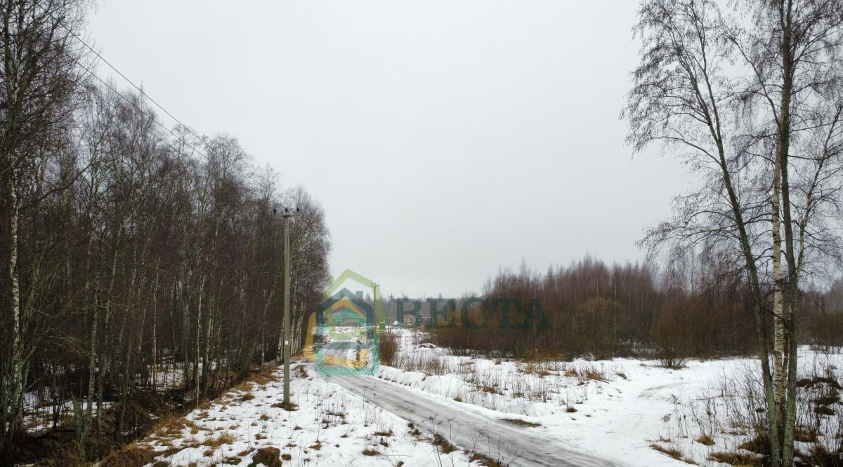 земля р-н Всеволожский Морозовское городское поселение, Рижская поляна кп фото 4