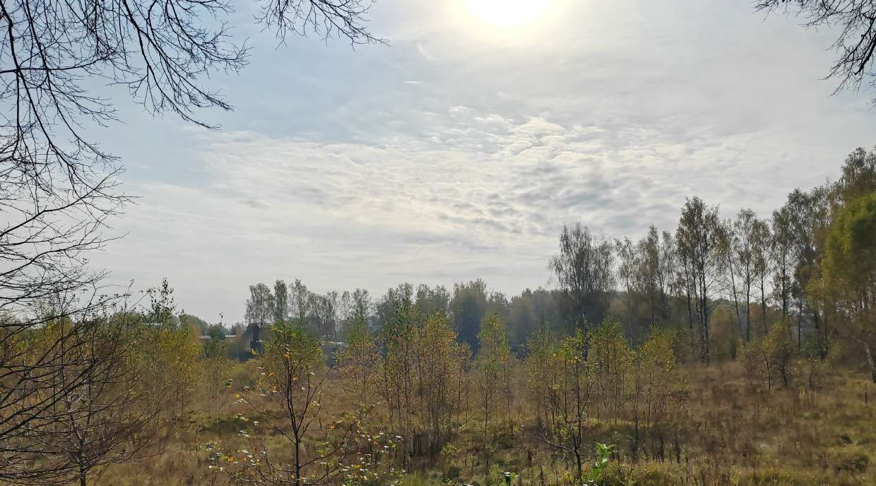 офис городской округ Чехов с Троицкое фото 1