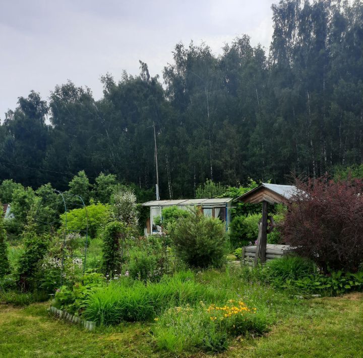 земля городской округ Богородский г Ногинск снт тер.Аметист фото 3