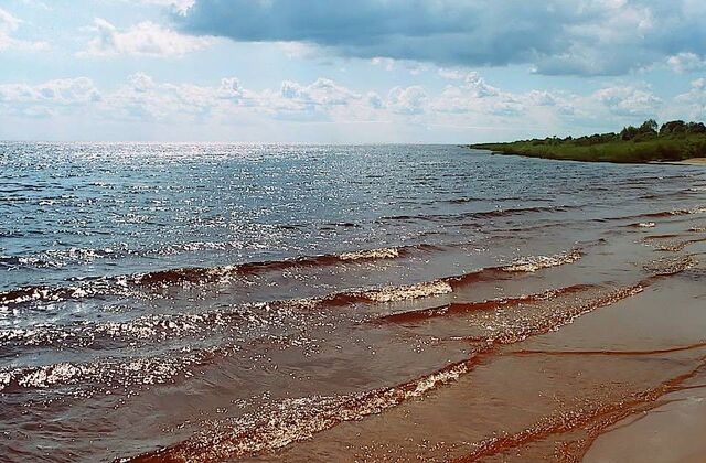 д. Дубровка Борковское сп фото