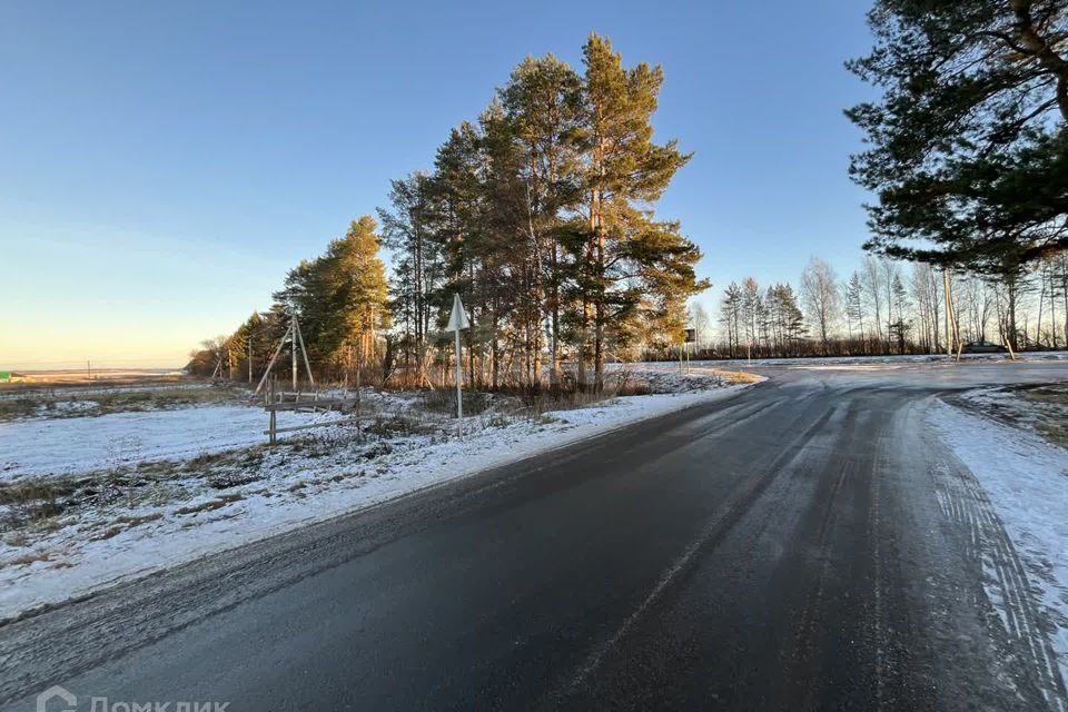 земля р-н Медведевский д. Ким фото 6