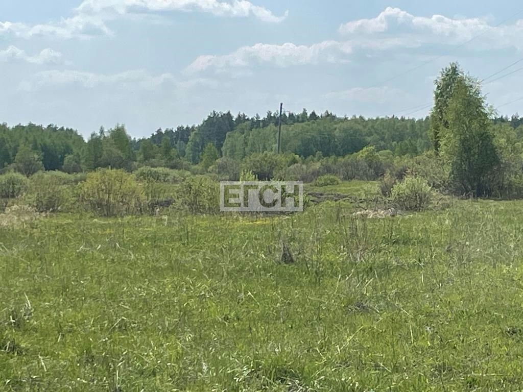 земля г Раменское снт Медкомелино-1 фото 14