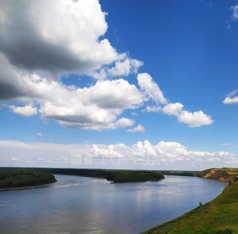 с Гоньба ул Рябиновая 46 фото