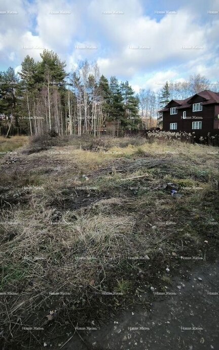 земля городской округ Раменский с Игумново проезд 1-й Луговой Раменское фото 1