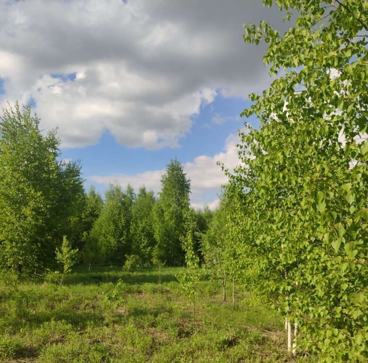 земля р-н Богородский д Килелей фото 3