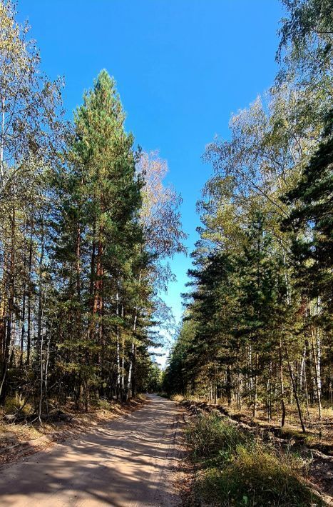 дом р-н Грязинский с Плеханово ул Ключи Плехановский сельсовет фото 12