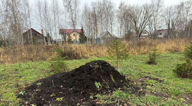 Железнодорожная, д. Большое Васильево фото