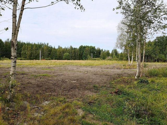 земля п Советский ул Береговая Высоцкое городское поселение фото