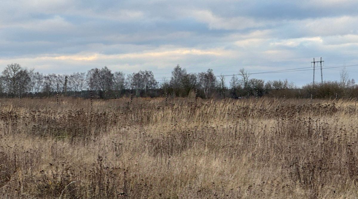 земля городской округ Богородский д Зубцово фото 1