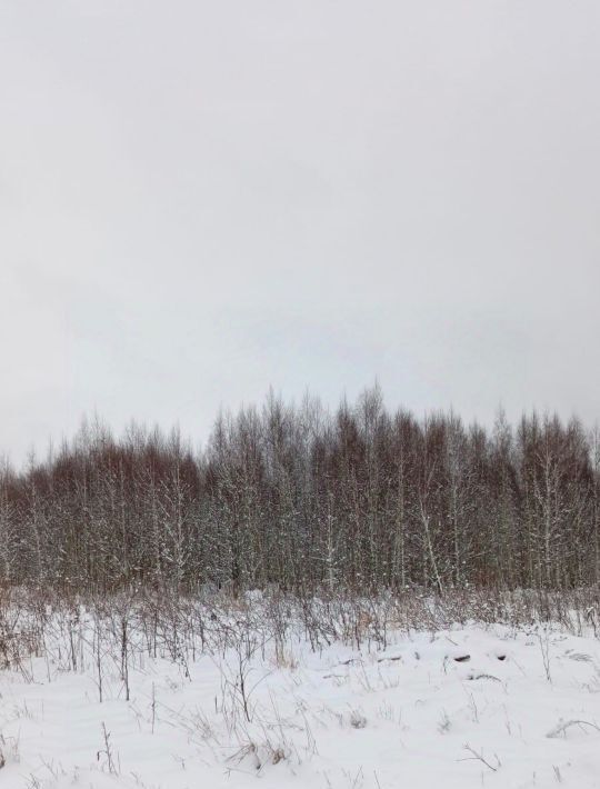 земля городской округ Талдомский г Талдом пл К.Маркса фото 1