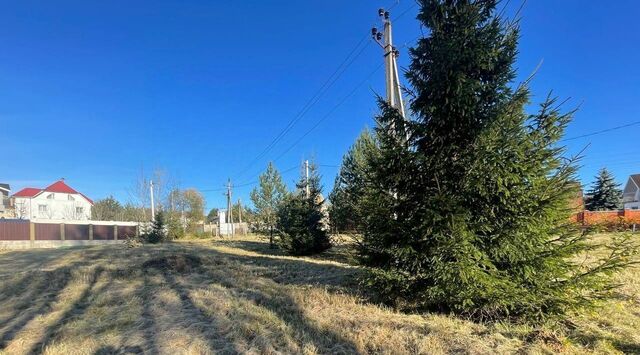 направление Ленинградское (северо-запад) ш Пятницкое Химки городской округ, д. Благовещенка фото