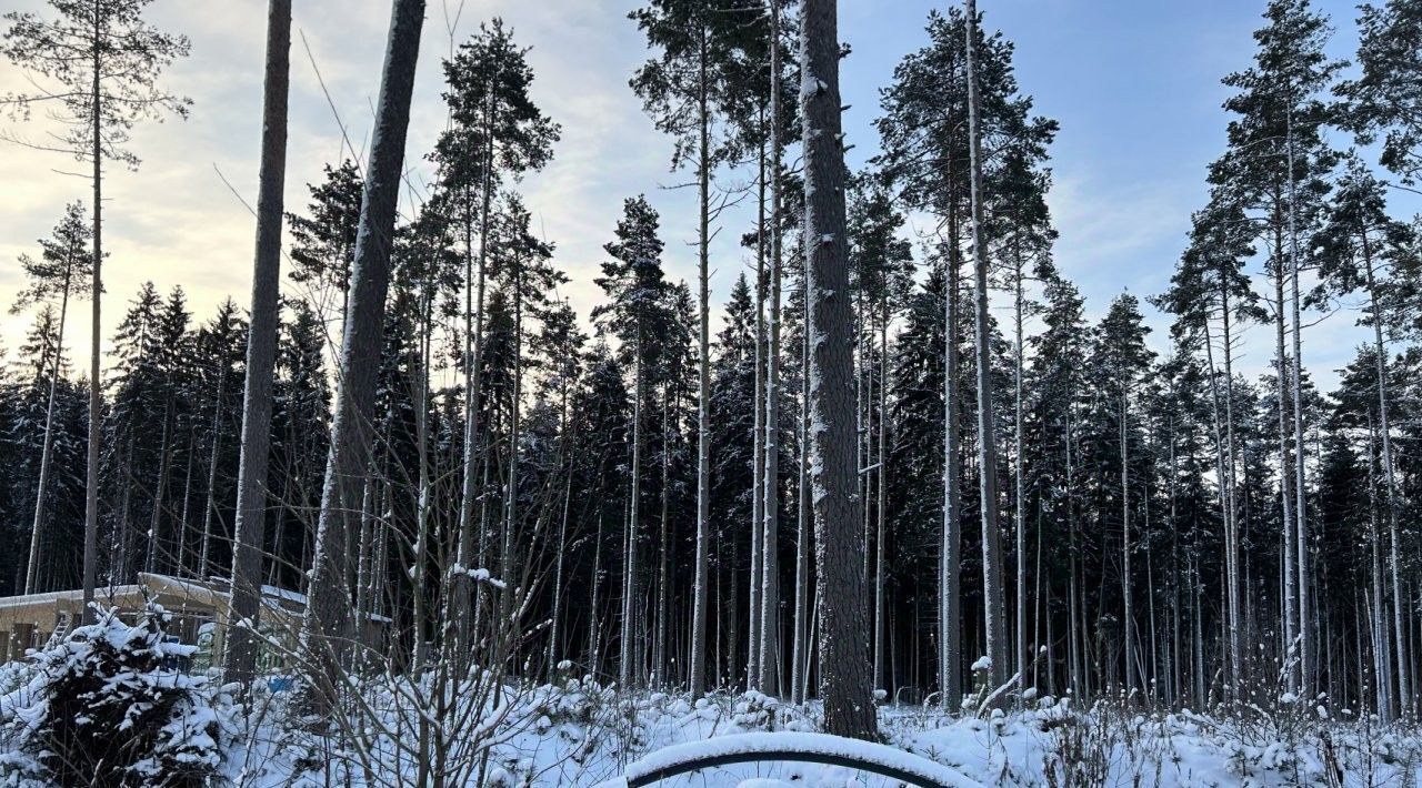 земля р-н Всеволожский массив Мертуть днп Озерная долина Сертоловское городское поселение, ДНП, Парнас, 49 фото 1