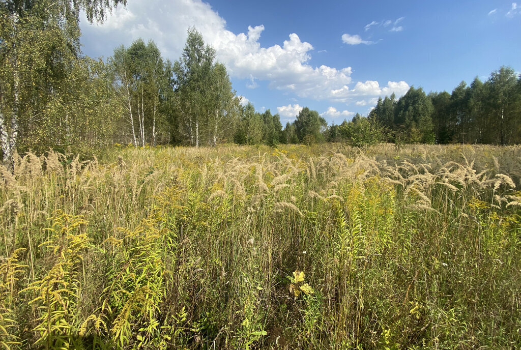 земля р-н Ленинский с Борщевка городской округ Тула фото 12