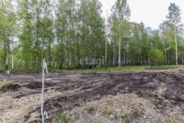 с Тюнево ул Центральная фото