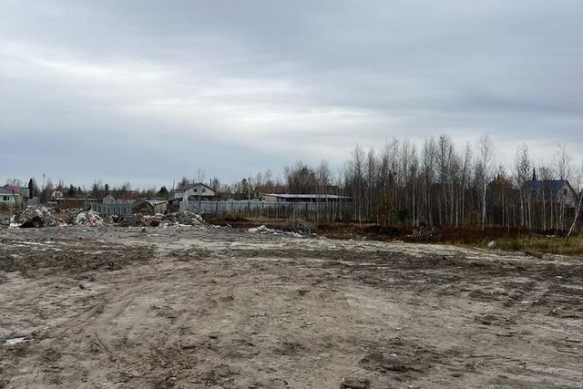 Сургут городской округ, СОК Прибрежный фото