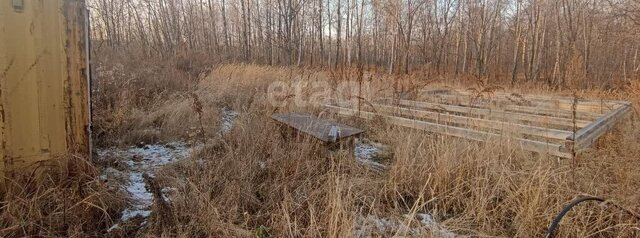 земля снт Южное фото