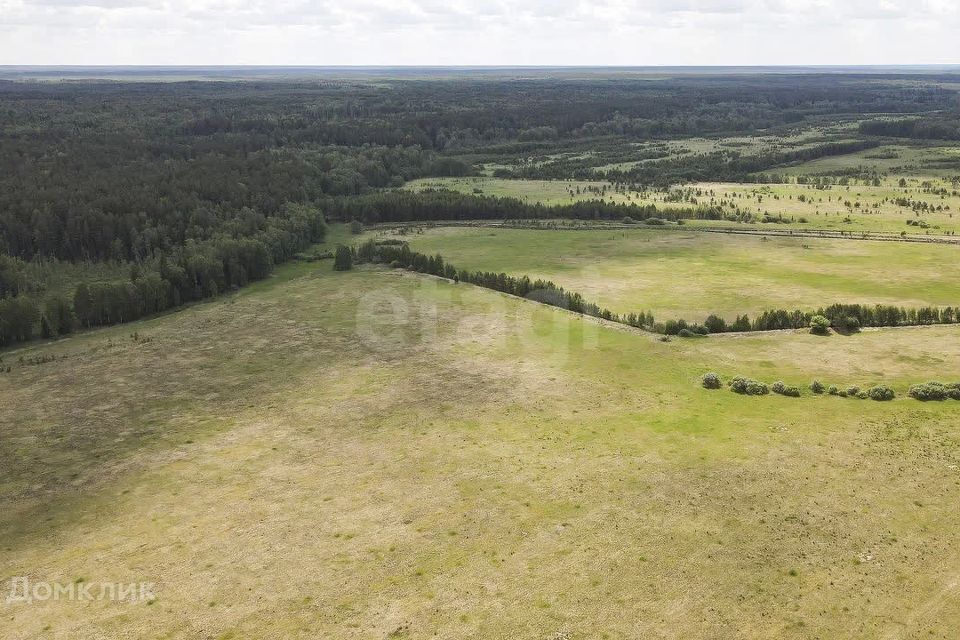 земля р-н Слободо-Туринский д. Ермолина фото 7