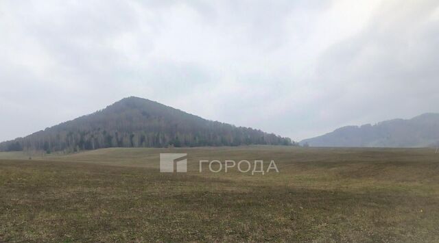 Бирюзовая Катунь тер., ул. Бирюзовая фото