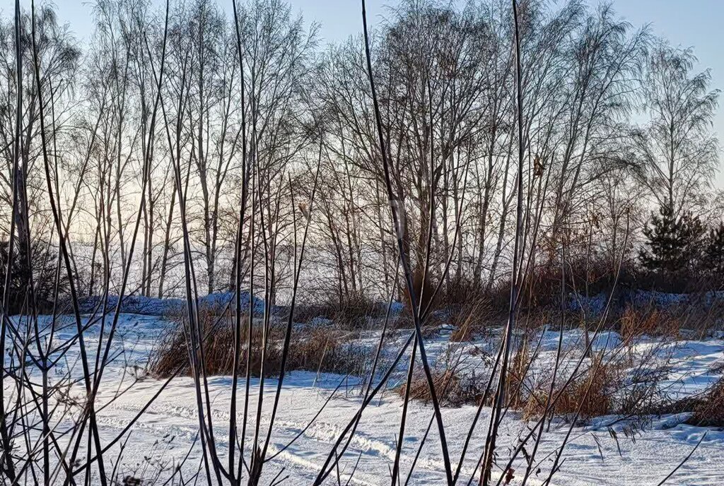 дом г Бердск снт Волна ул Береговая 4а фото 19