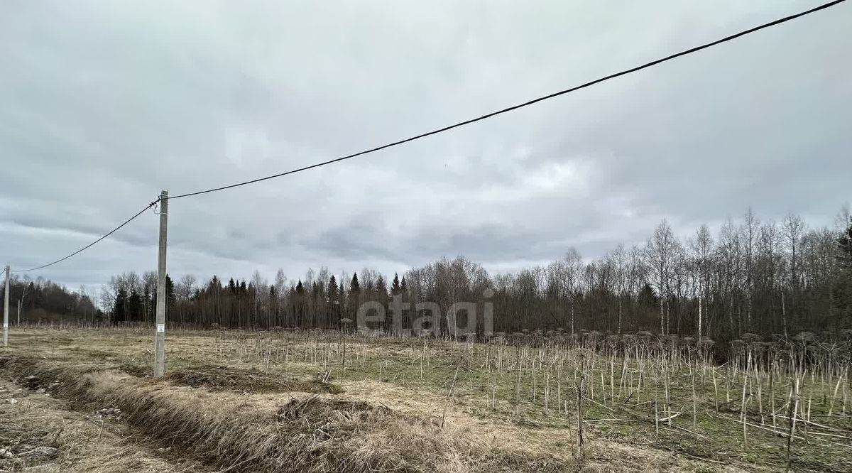 земля р-н Сыктывдинский с Выльгорт фото 3