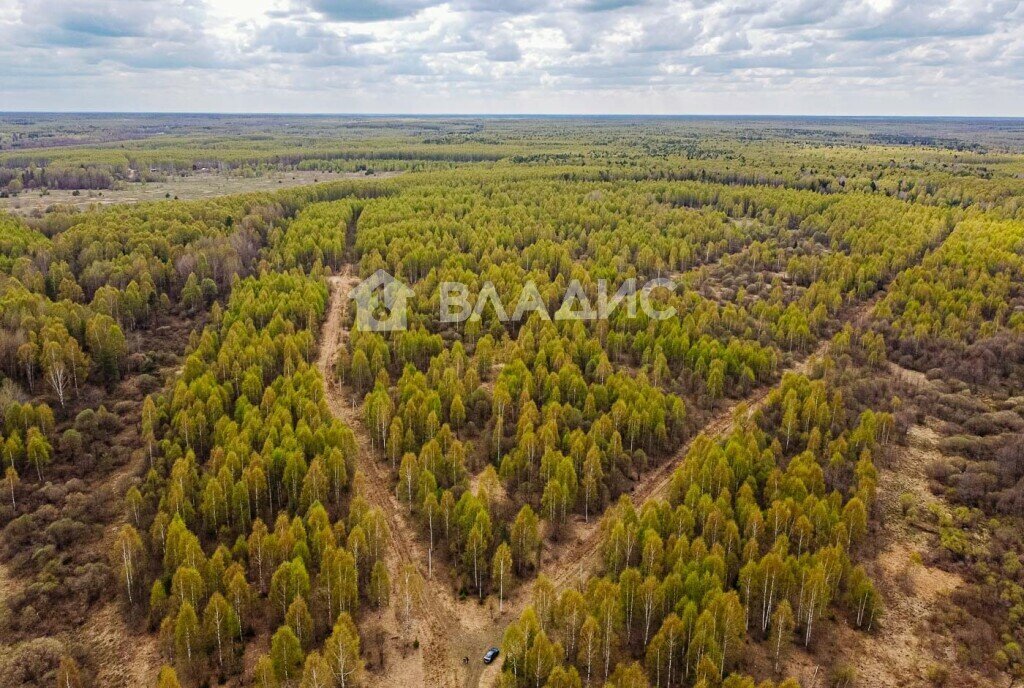 земля р-н Судогодский д Кощеево муниципальное образование Головинское фото 8