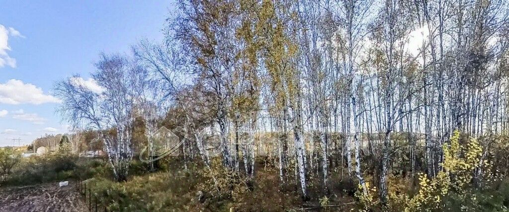 земля г Тюмень р-н Калининский ул Таежная 71 СОСН Лесная Поляна тер. фото 3