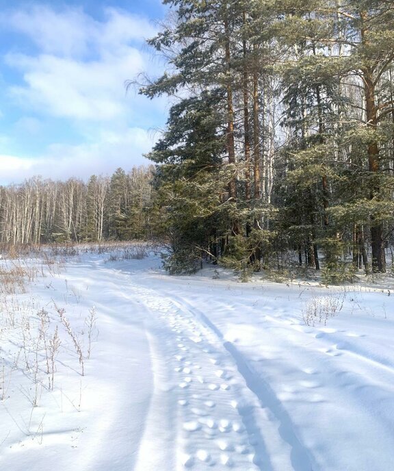 земля р-н Сысертский фото 6