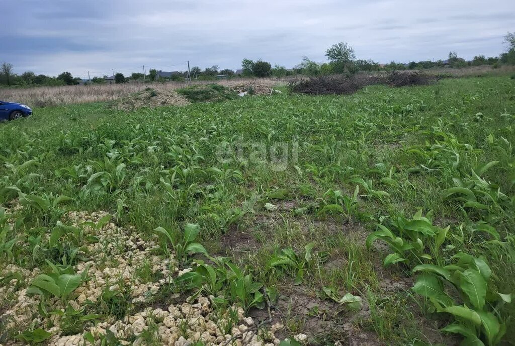 земля р-н Темрюкский п Веселовка ул Коралловая фото 2