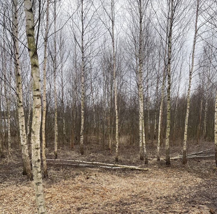 земля городской округ Павловский Посад Березки Парк 2 кп, ул. Свободы фото 5