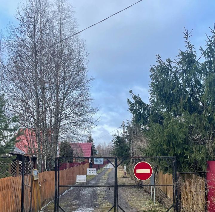 земля городской округ Рузский д Петрищево снт Лель фото 2