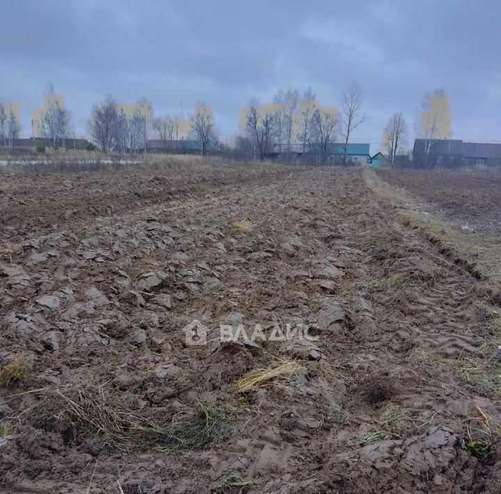 земля р-н Гусь-Хрустальный д Купреево ул Центральная Купреевское сельское поселение фото 4