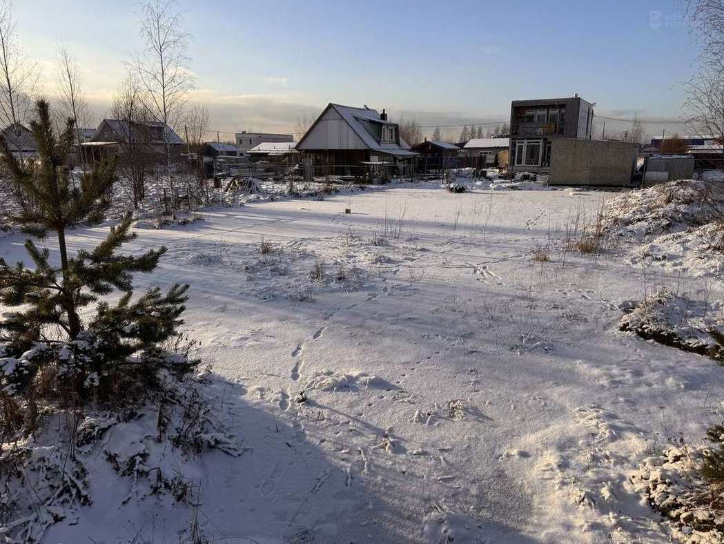 земля р-н Волосовский снт Росток Область, Всеволожский р-н фото 3