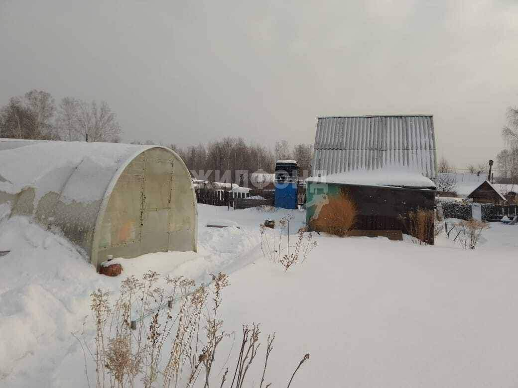 дом г Новосибирск Заельцовская, Любитель территория снт фото 3