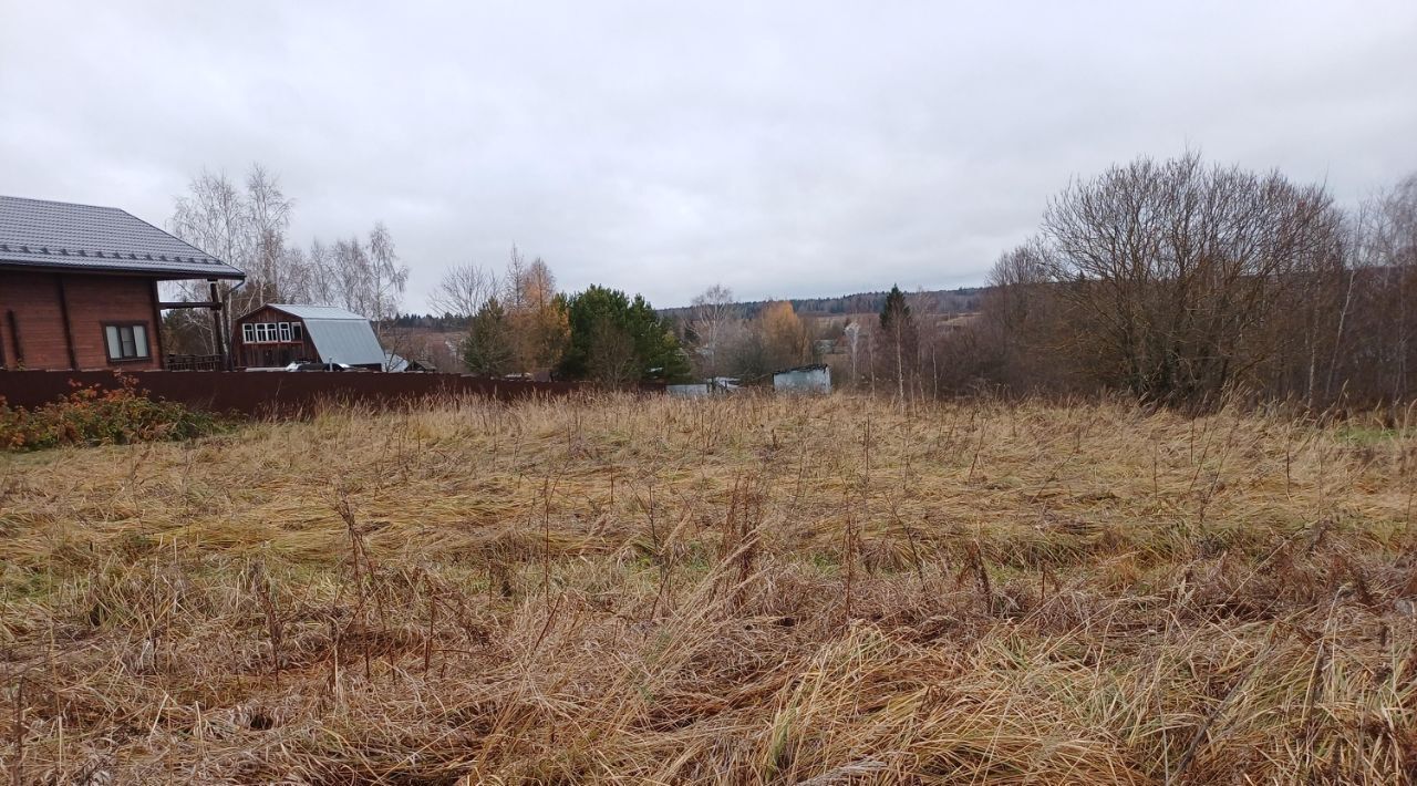 земля городской округ Наро-Фоминский д Дятлово фото 1