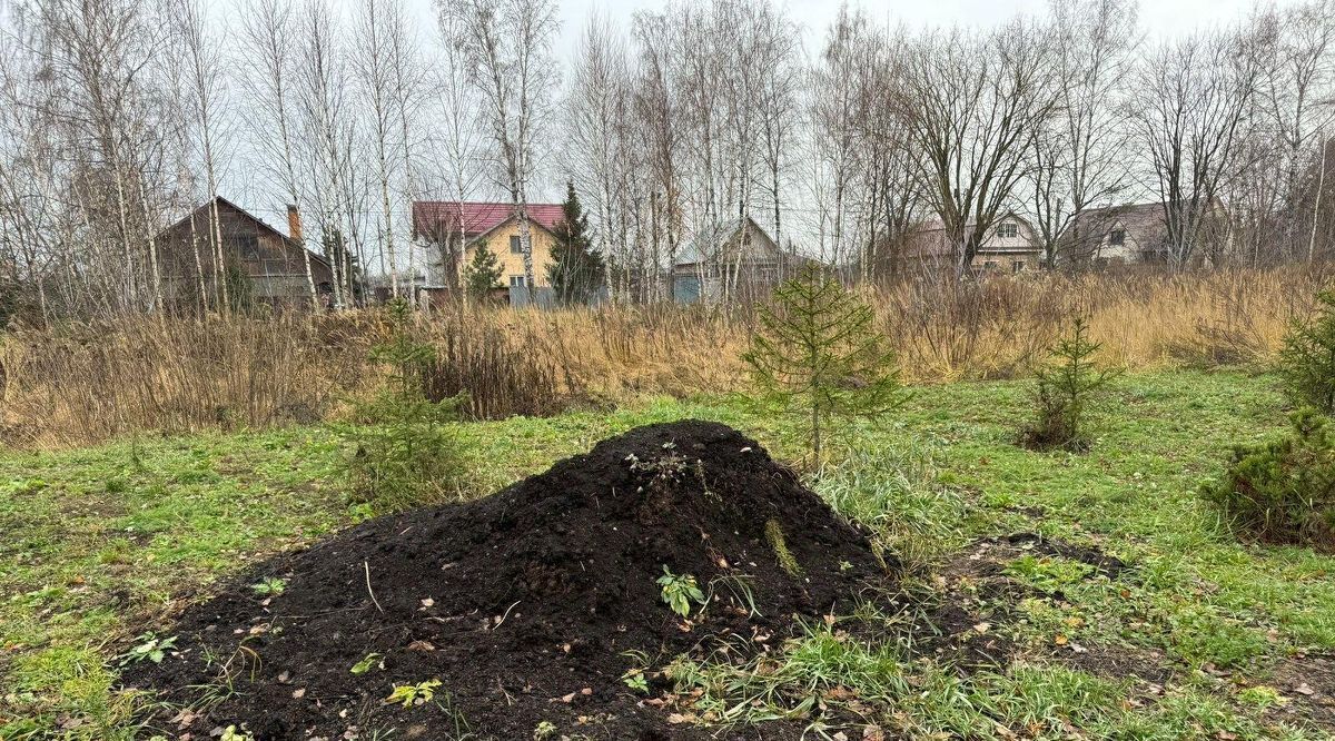 земля городской округ Богородский г Электроугли Железнодорожная, д. Большое Васильево фото 1