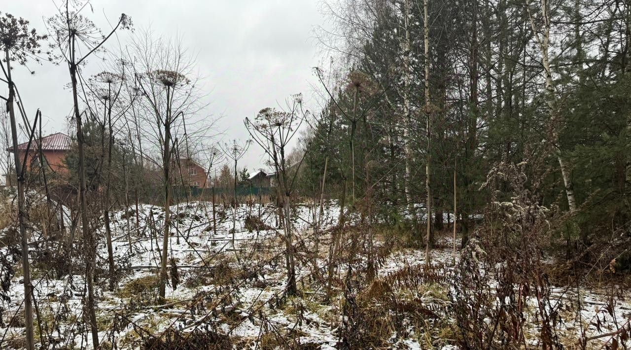 земля городской округ Богородский с Ямкино фото 1