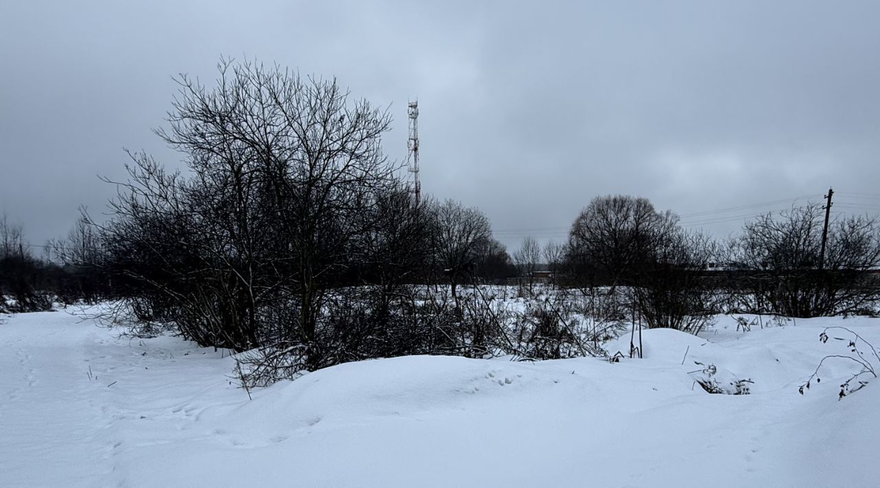 земля городской округ Сергиево-Посадский д Царевское с пос, Пушкинский городской округ фото 4