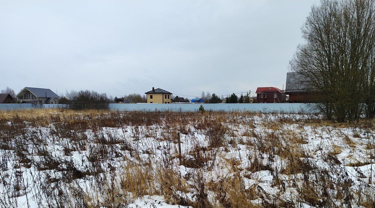 земля городской округ Раменский д Макаровка ул. Березовая фото 3